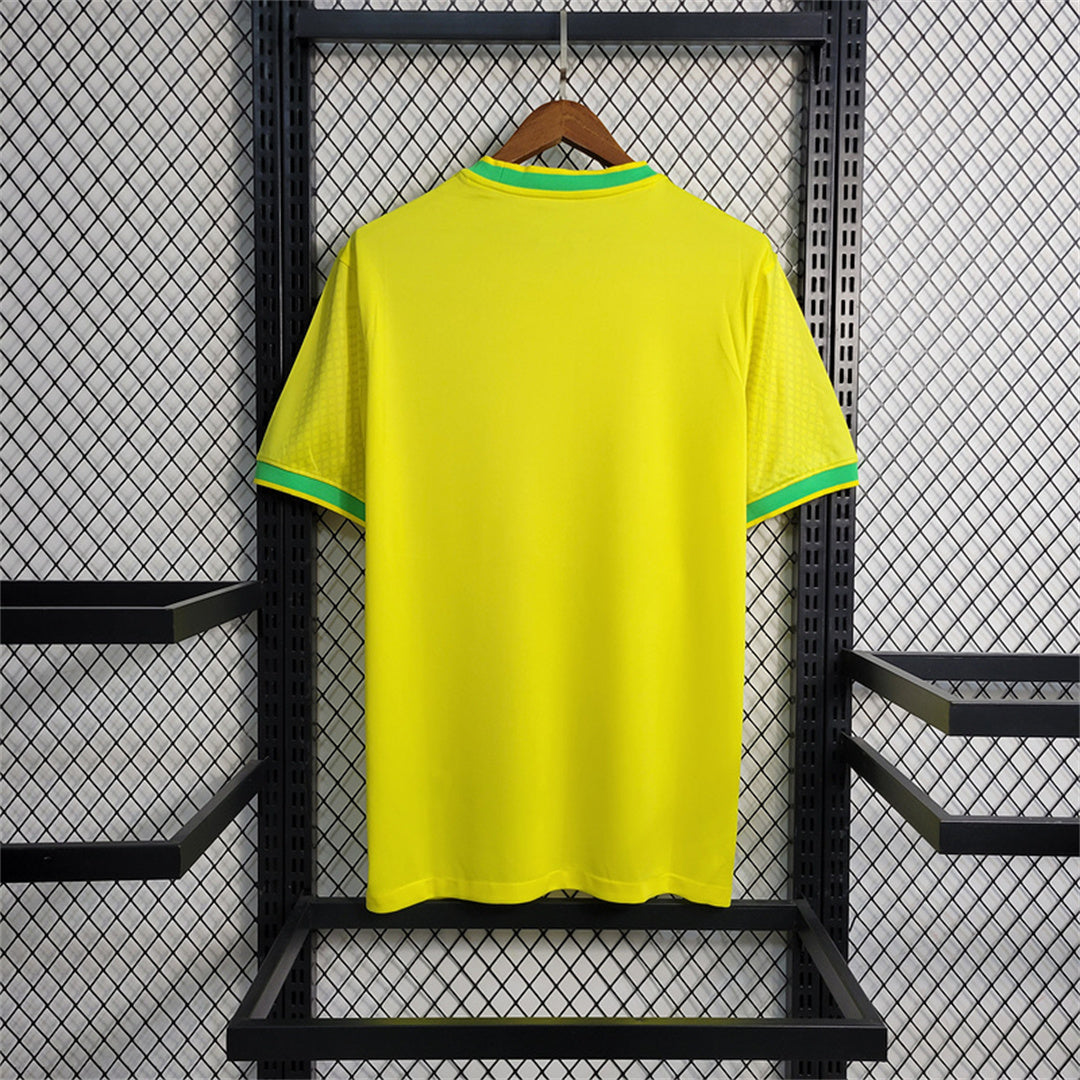 KIT PIGEON JAUNE DU BRÉSIL