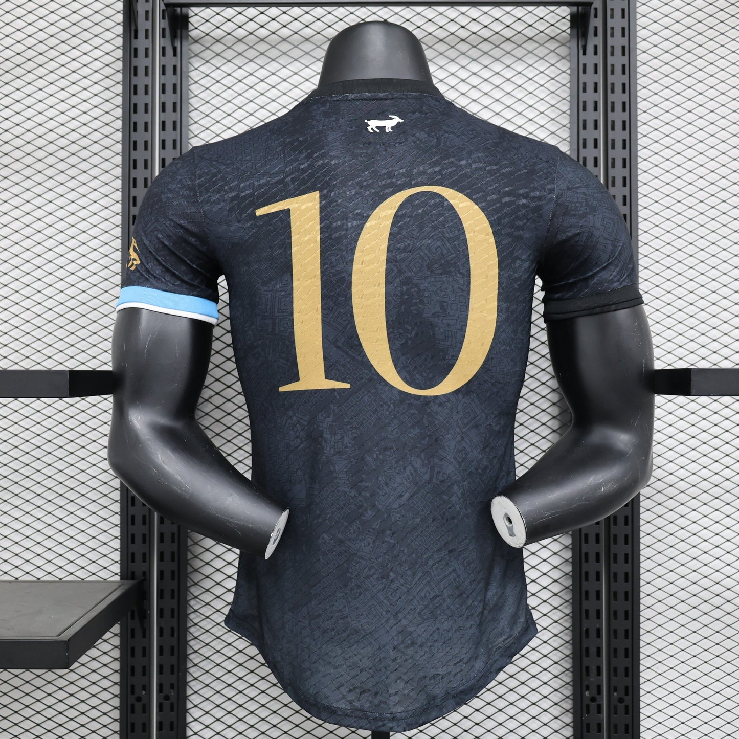 Argentine Limited Edition Player Version 2023 2024 Jersey