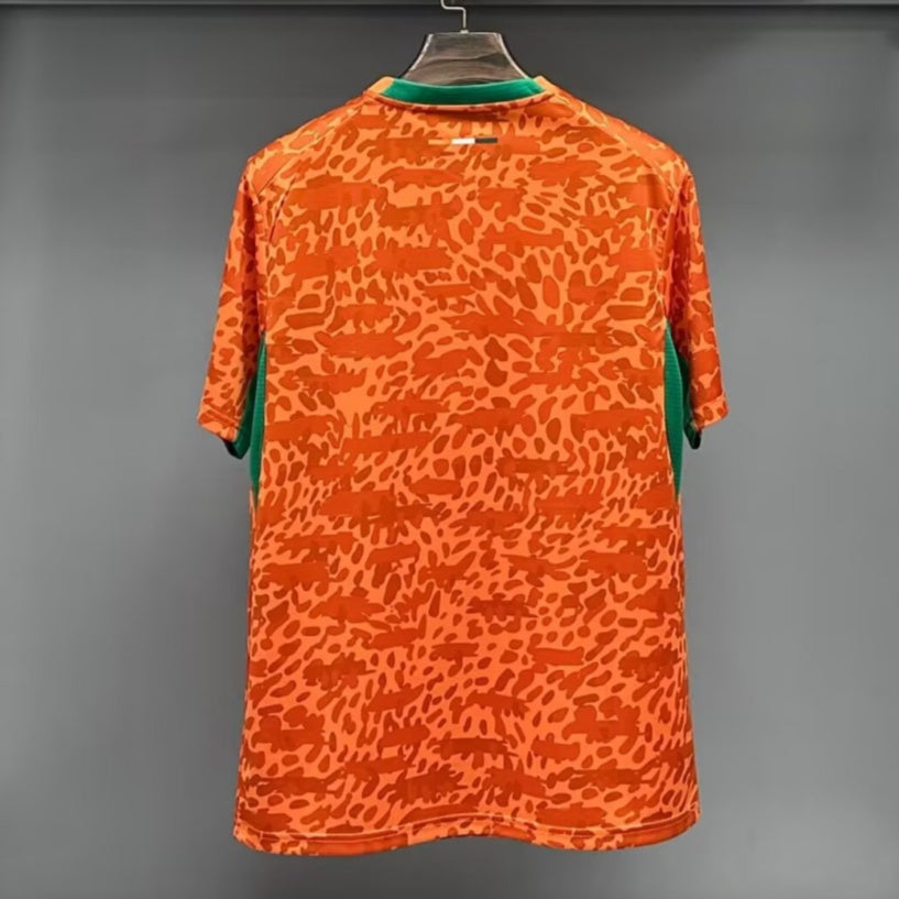 25/26 Ivory Coast Special Jersey