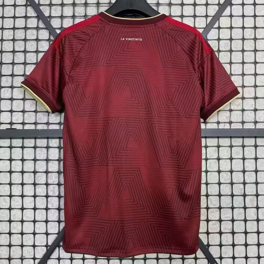 25/26 Venezuela Home Jersey