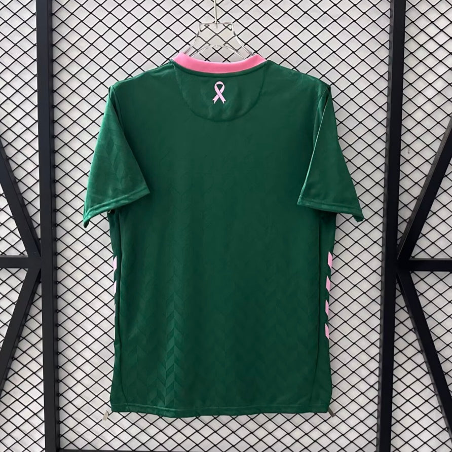 25/26 Saint Etienne Special Jersey