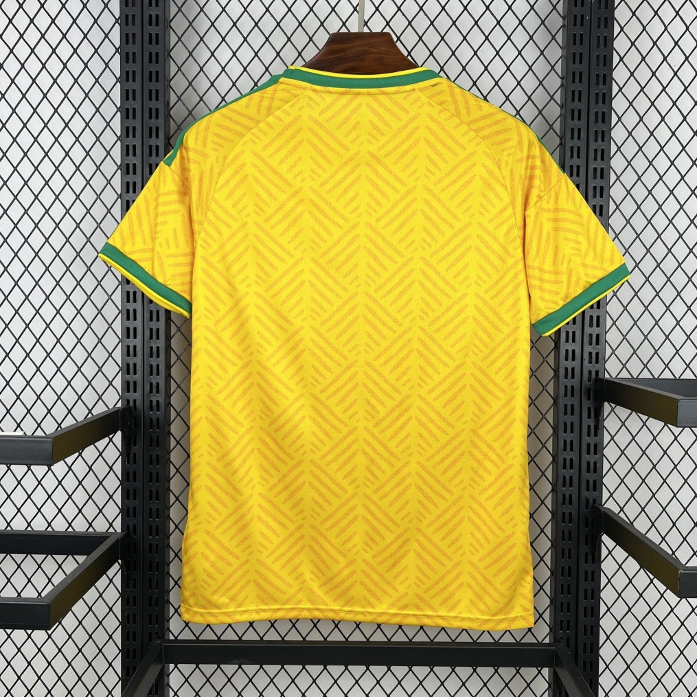 2026 South Africa Home Jersey