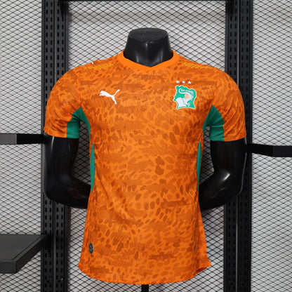 25/26 Ivory Coast Player Version Jersey