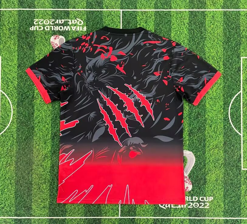 25/26 Brazil Special Red A Jersey