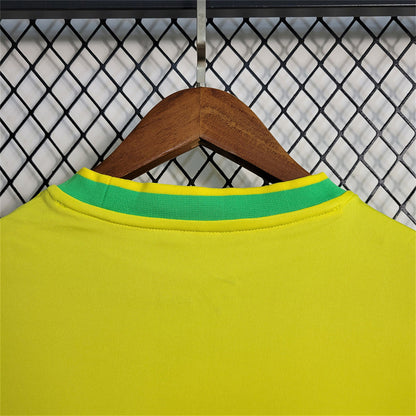 KIT PIGEON JAUNE DU BRÉSIL
