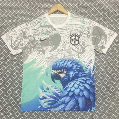 25/26 Brazil Special Jersey