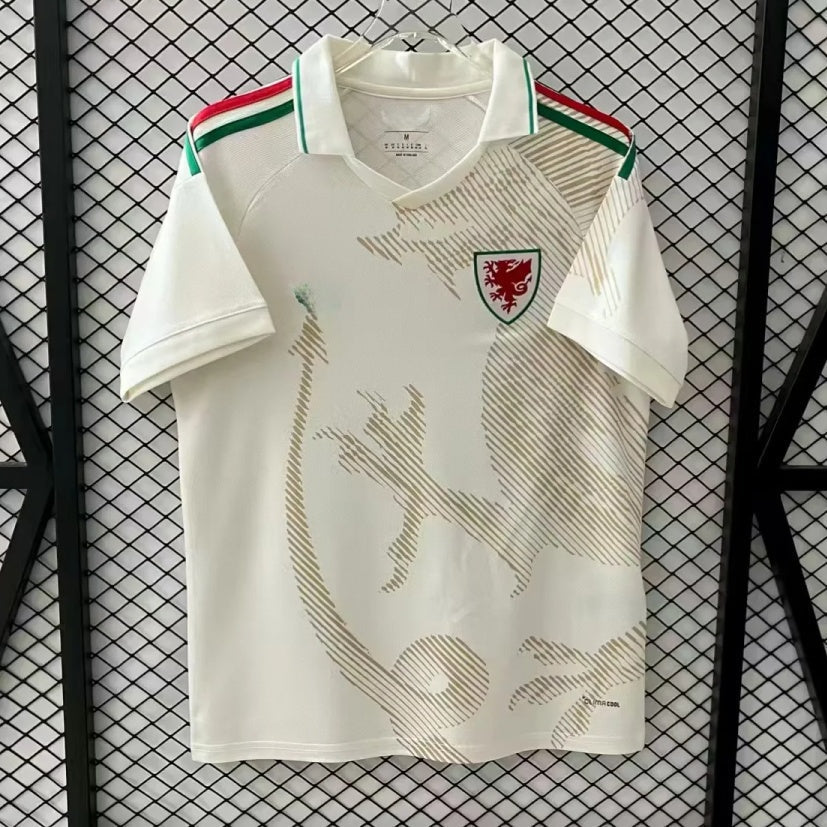 25/26 Wales Away Jersey