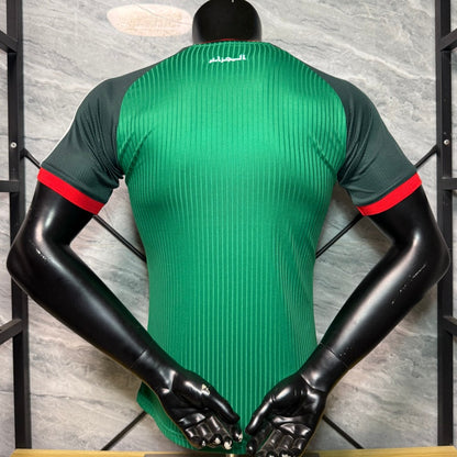 25/26 Algeria Away Jersey