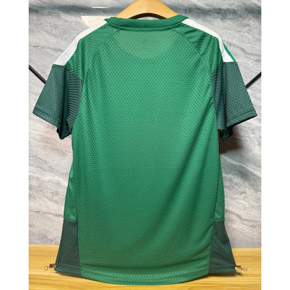 25/26 Algeria Special Player Version Green A Jersey