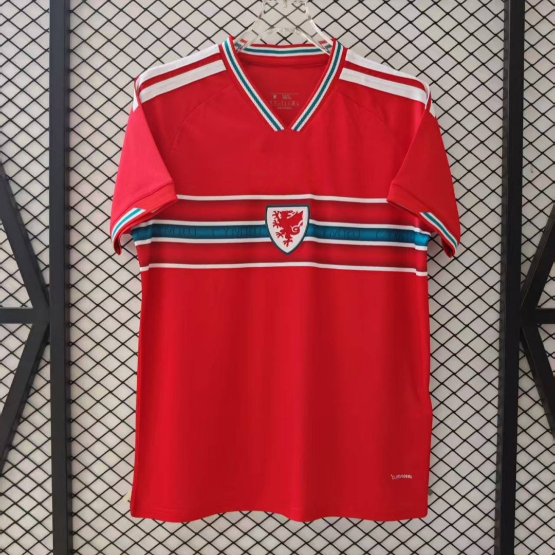 25/26 wales Home Jersey