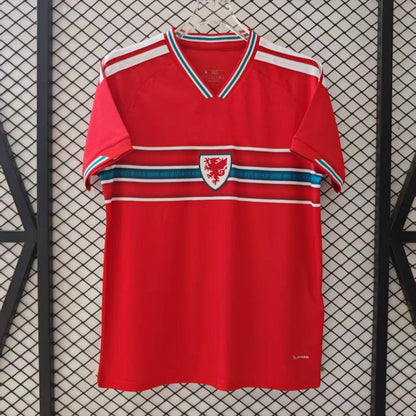 25/26 wales Home Jersey