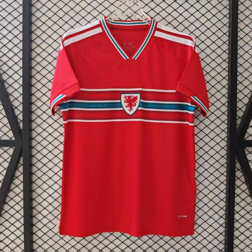 25/26 wales Home Jersey